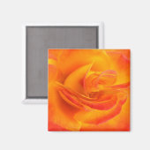 Magnet Rose orange (Recto/Verso)