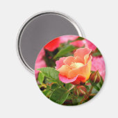 Magnet Rose rose et orange (Recto/Verso)
