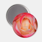 Magnet - Rose rouge et blanche (Recto/Verso)