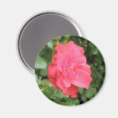 Magnet Rose sauvage (Recto/Verso)