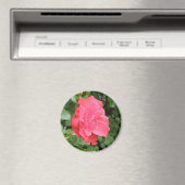 Magnet Rose sauvage (In Situ (Lave-vaisselle))