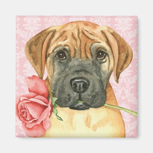 Magnet Rose Valentine Bullmastiff (Devant)