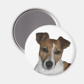 Magnet, rund, Jack Russell Terrier Magneet (Voorkant / Achterkant)