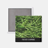 MAGNET - SAMPHIRE FRANÇAIS (Recto/Verso)