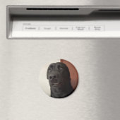 Magnet Scared Dog Meme Magneet (Insitu (Vaatwasser))