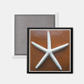 Magnet Sea Star (Recto/Verso)