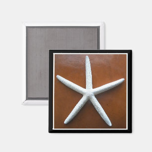 Magnet Sea Star