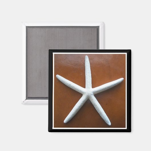 Magnet Sea Star (Recto/Verso)