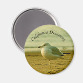 Magnet - Seagull Dreaming Magneet (Voorkant / Achterkant)