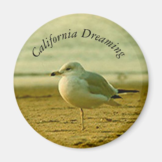 Magnet - Seagull Dreaming Magneet (Voorkant)