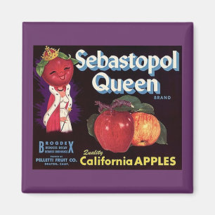 MAGNET ~ SEBASTOPOL QUEEN APPLES ÉTIQUETTE VINTAGE