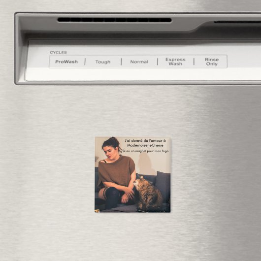 Magnet - semaine 4 (In Situ (Lave-vaisselle))