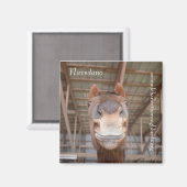 Magnet Series - Navedano (Recto/Verso)