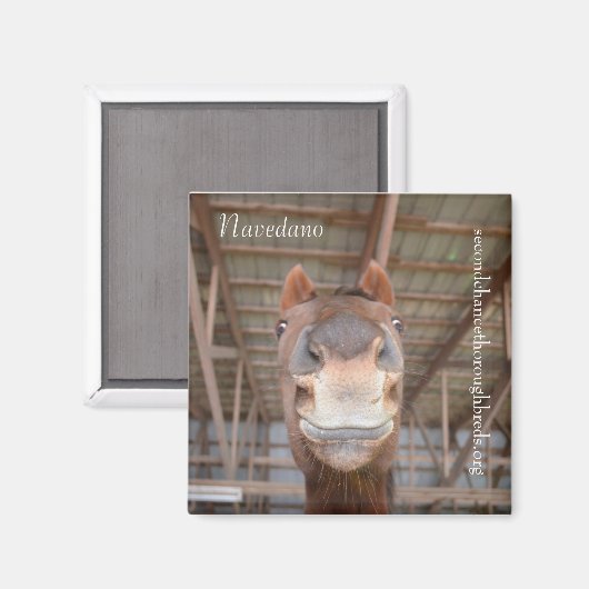 Magnet Series - Navedano (Recto/Verso)