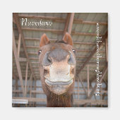 Magnet Series - Navedano (Devant)