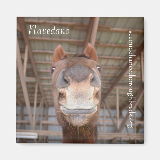 Magnet Series - Navedano (Devant)