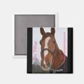 Magnet Series - Zen Village (Recto/Verso)