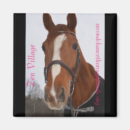 Magnet Series - Zen Village (Devant)