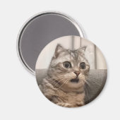 Magnet Shocked Cat Meme Magneet (Voorkant / Achterkant)