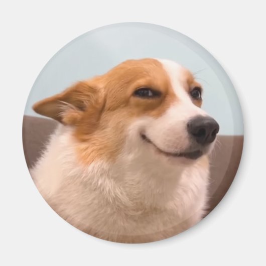 Magnet Smiling Corgi Meme Magneet (Voorkant)