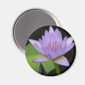Magnet, Soft Lavender Water Lily Magneet (Voorkant / Achterkant)