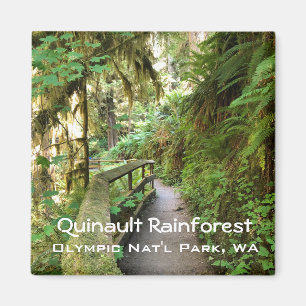 Magnet souvenir—Quinault Rainforest, NP olympiqu