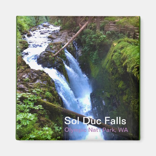 Magnet souvenir : Sol Duc Falls, Olympic Nat'l Par (Devant)