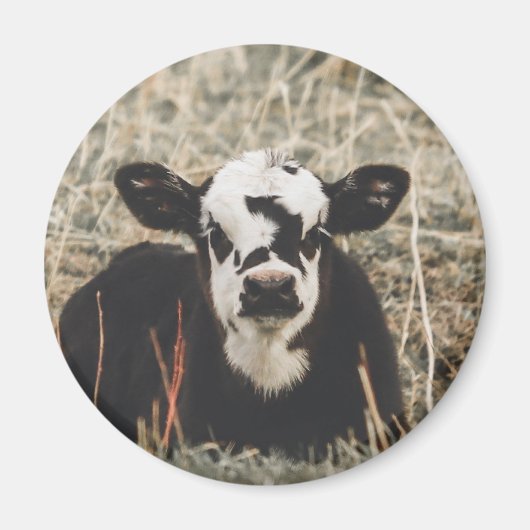 Magnet - Spring Calf (Devant)
