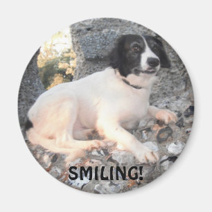 Magnet Sprollie Vente Château Souriant