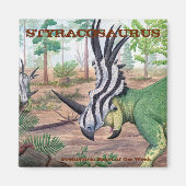 Magnet Styracosaurus (Devant)