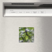 Magnet - Sun Trees (Ohio) (In Situ (Lave-vaisselle))