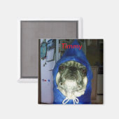 Magnet Sweat - shirt à capuche Timmy (Recto/Verso)
