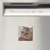 Magnet Talking Cats Meme Magneet (Insitu (Vaatwasser))