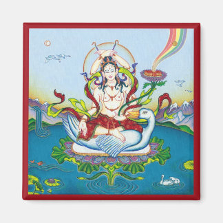 MAGNET Tara Protection contre les poisons