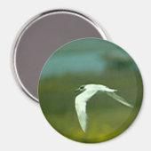 Magnet - Tern in vlucht Magneet (Voorkant / Achterkant)
