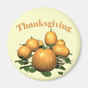 Magnet - Thanksgiving pompoen Magneet