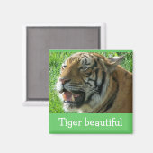 Magnet Tiger beau (Recto/Verso)