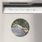 Magnet Tiger "Jour de folie" (In Situ (Lave-vaisselle))
