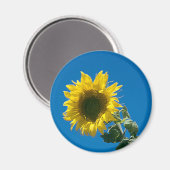 Magnet - Tournesol (Recto/Verso)