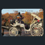 Magnet — Transport dans NYC Central Park<br><div class="desc">Magnet — Un des chevaux et des calèches célèbres de Central Park, NYC. Belle vue d'automne sur les couleurs changeantes pendant que le conducteur attend son prochain billet. Montrez votre style avec des magnets flexibles de Zazzle ! Parfaits pour les réfrigérateurs ou n'importe quelle surface métallique, ces aimants en vinyle...</div>