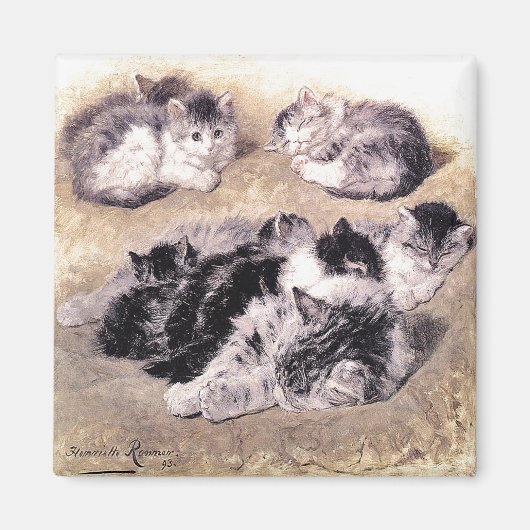 Magnet : Une étude des chats (Devant)