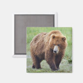 Magnet van GRIZZLY BEER Magneet (Voorkant / Achterkant)