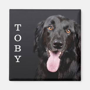 Magnet voor aangepaste dog fotokoelkast magneet