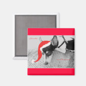 Magnet voor Kerstmis, Rat Terrior Magneet (Voorkant / Achterkant)