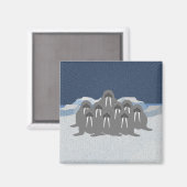 Magnet Walrus (Recto/Verso)