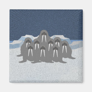 Magnet Walrus