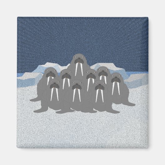 Magnet Walrus (Devant)