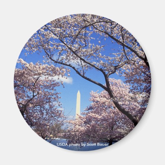 Magnet / Washington Monument (Devant)