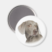 Magnet Weimaraner (Recto/Verso)