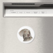 Magnet Weimaraner (In Situ (Lave-vaisselle))
